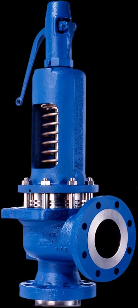 Safety Valve